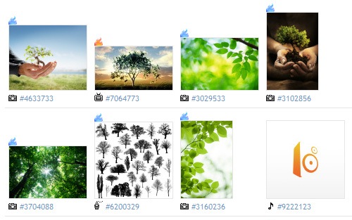 iStockphoto iStockphoto