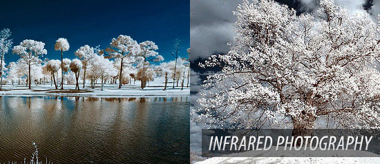 Infrared Photography: Tips on How to Get Started
