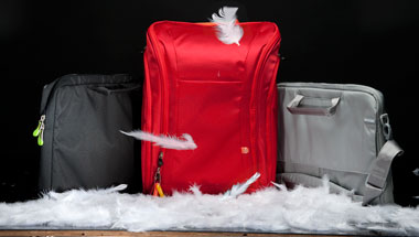 bags