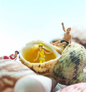 shells