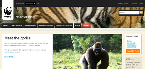 18wwf-2
