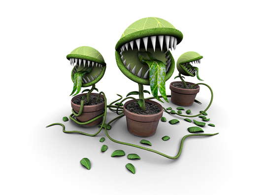 3D Wallpapers