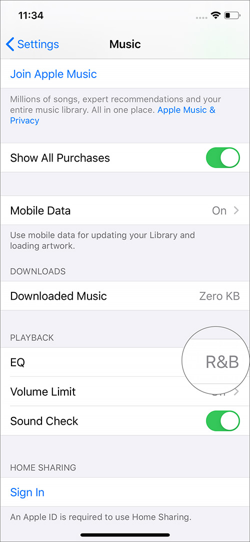 Check EQ ON or OFF of PLAYBACK section in Music App on iPhone