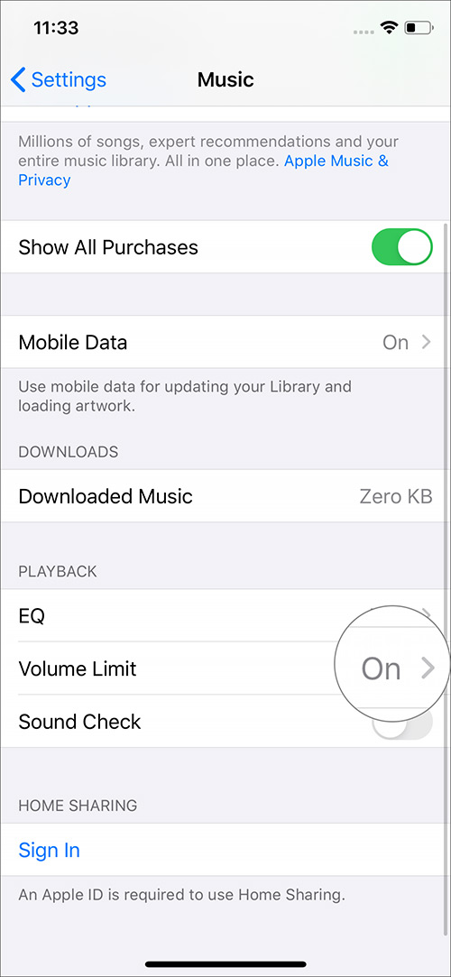 Check Volume Limit OFF in Music Settins on iPhone