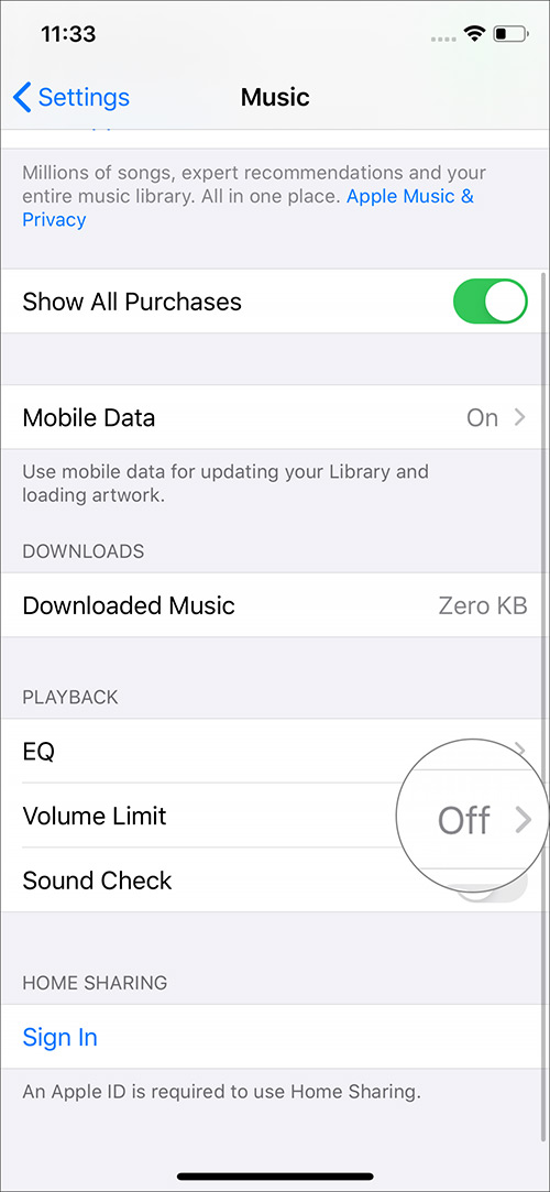 Check Volume Limit label OFF in Music Settins on iPhone