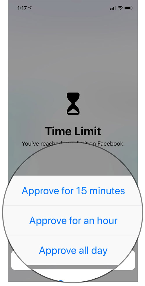 Choose any one option to Unlock the App on iPhone