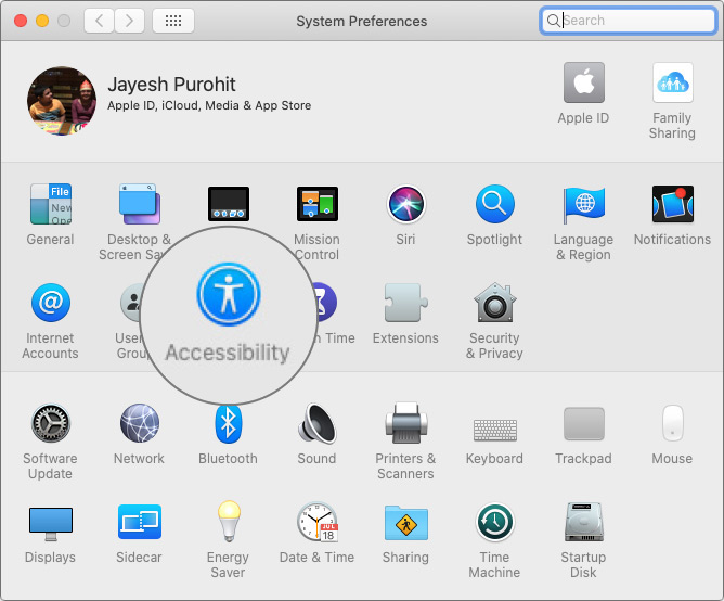 Click on Accessibility in macOS Catalina System Preferences