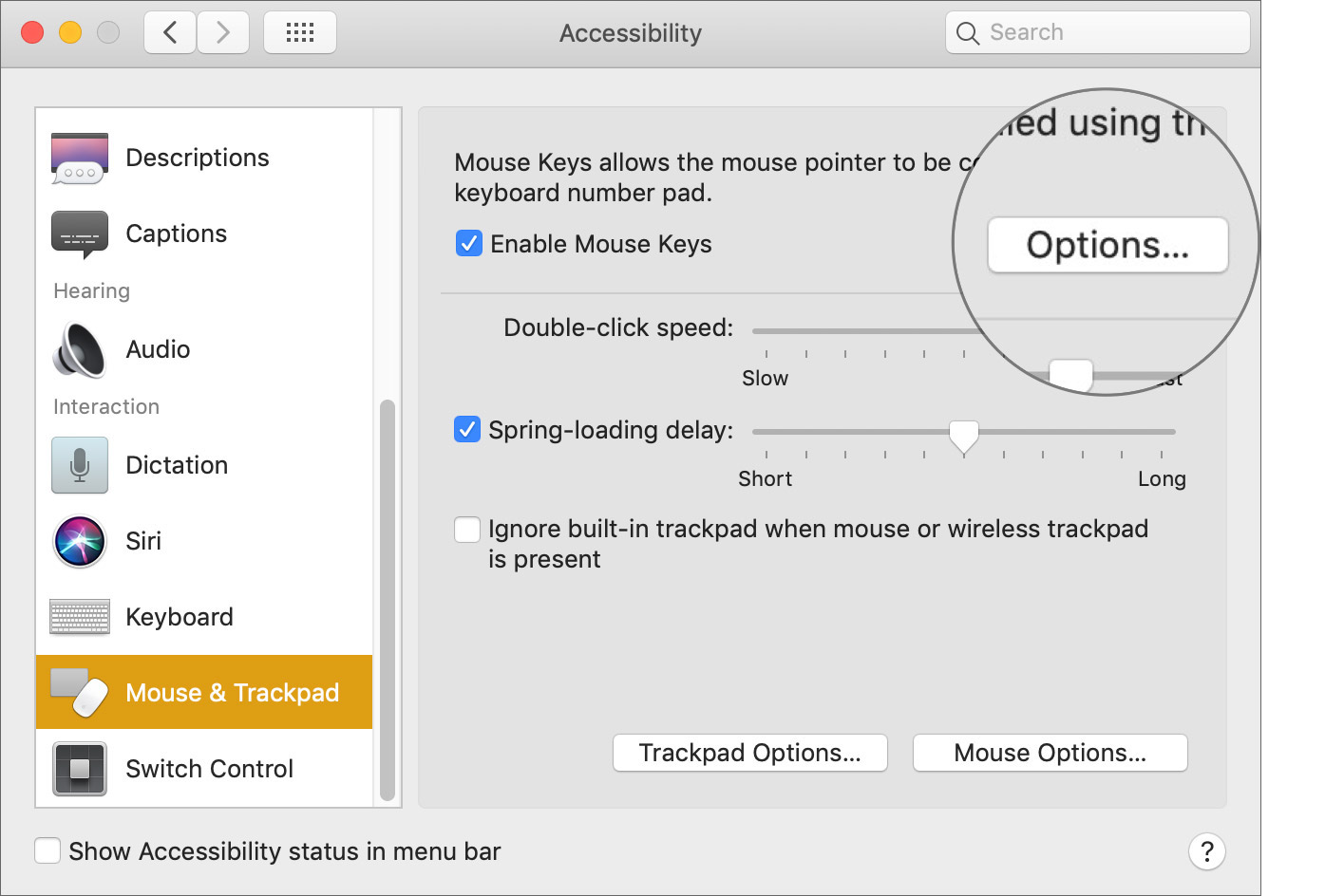 Click on Options Next to Enable Mouse Keys on Mac