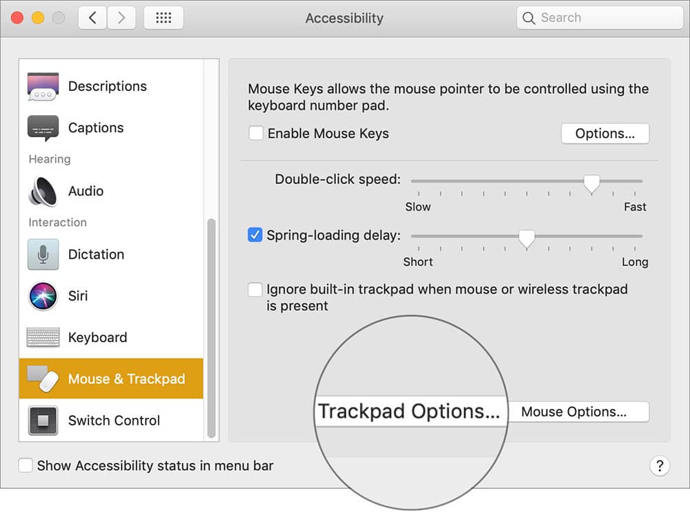 Click on Trackpad Options in Accessibility Preferences on Mac