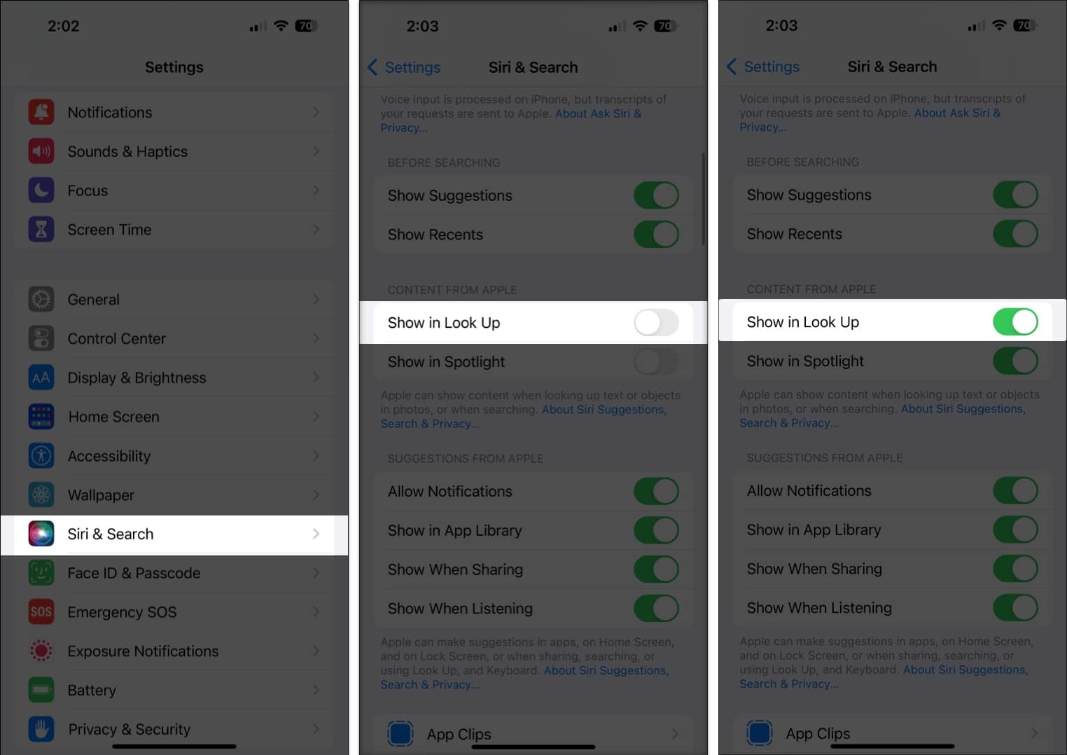Enable Siri Look up on iPhone