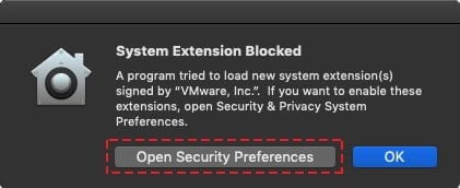 Enable System Extension