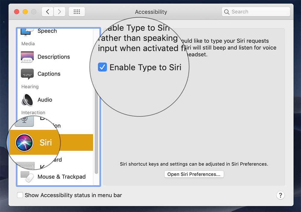 Enable Type to Siri on Mac