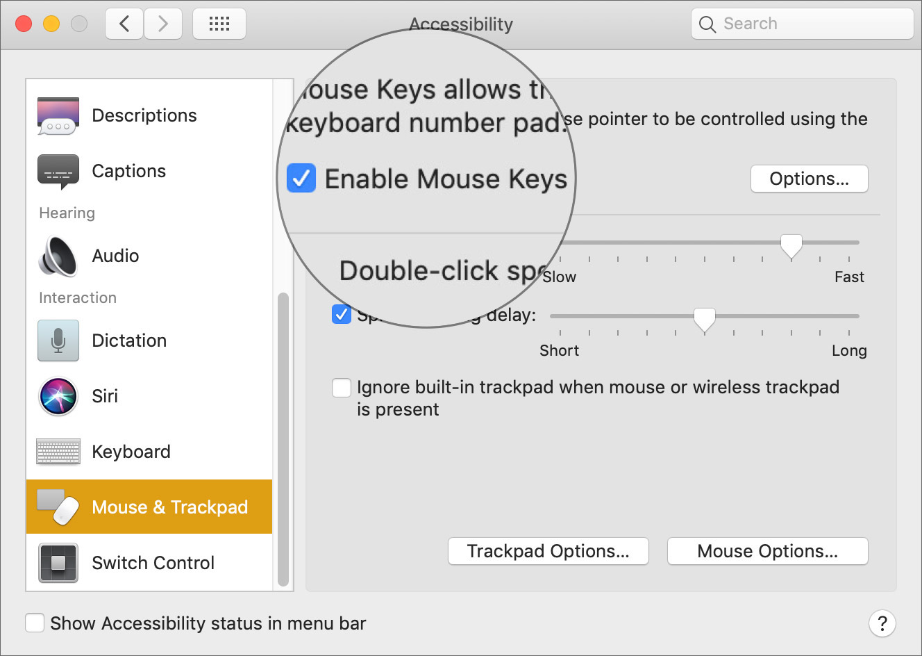 Enable the Mouse Key Feature on Mac