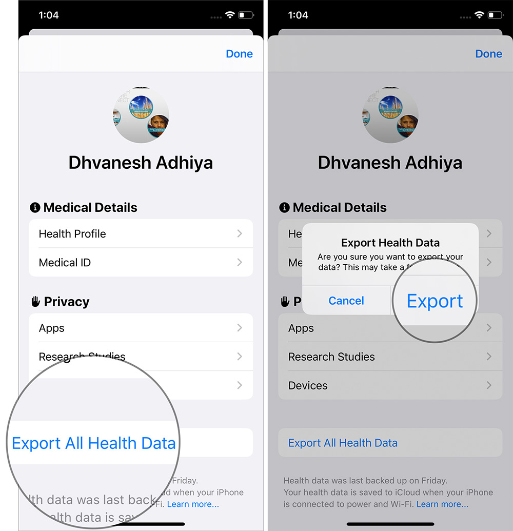 Export Health Data From iPhone