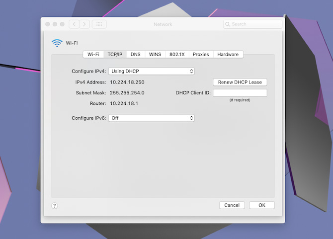 Using System Preferences to check the Mac's TCP/IP settings