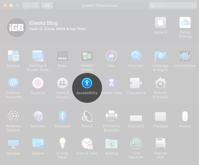 Open System Preferences and Click on Accessibility on Mac