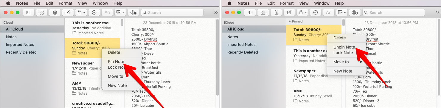 Pin-Unpin Notes on Mac