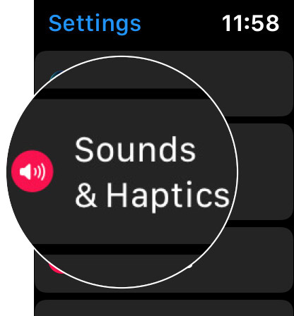 Scroll Down to Sounds & Haptics and Tap in WatchOS 6
