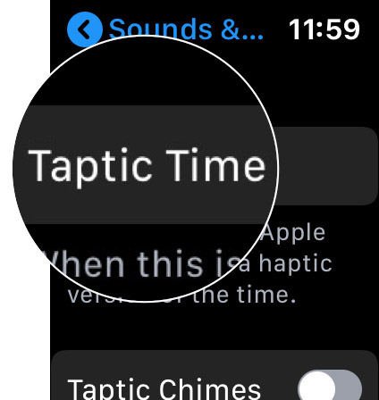 Scroll Down to Taptic Time and Tap on it in WatchOS 6