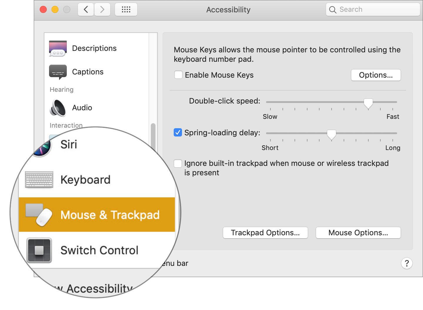 Select Mouse & Trackpad in Mac Accessibility