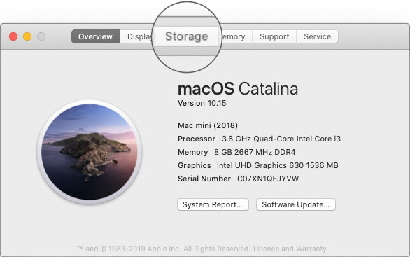 Select Storage in About This Mac