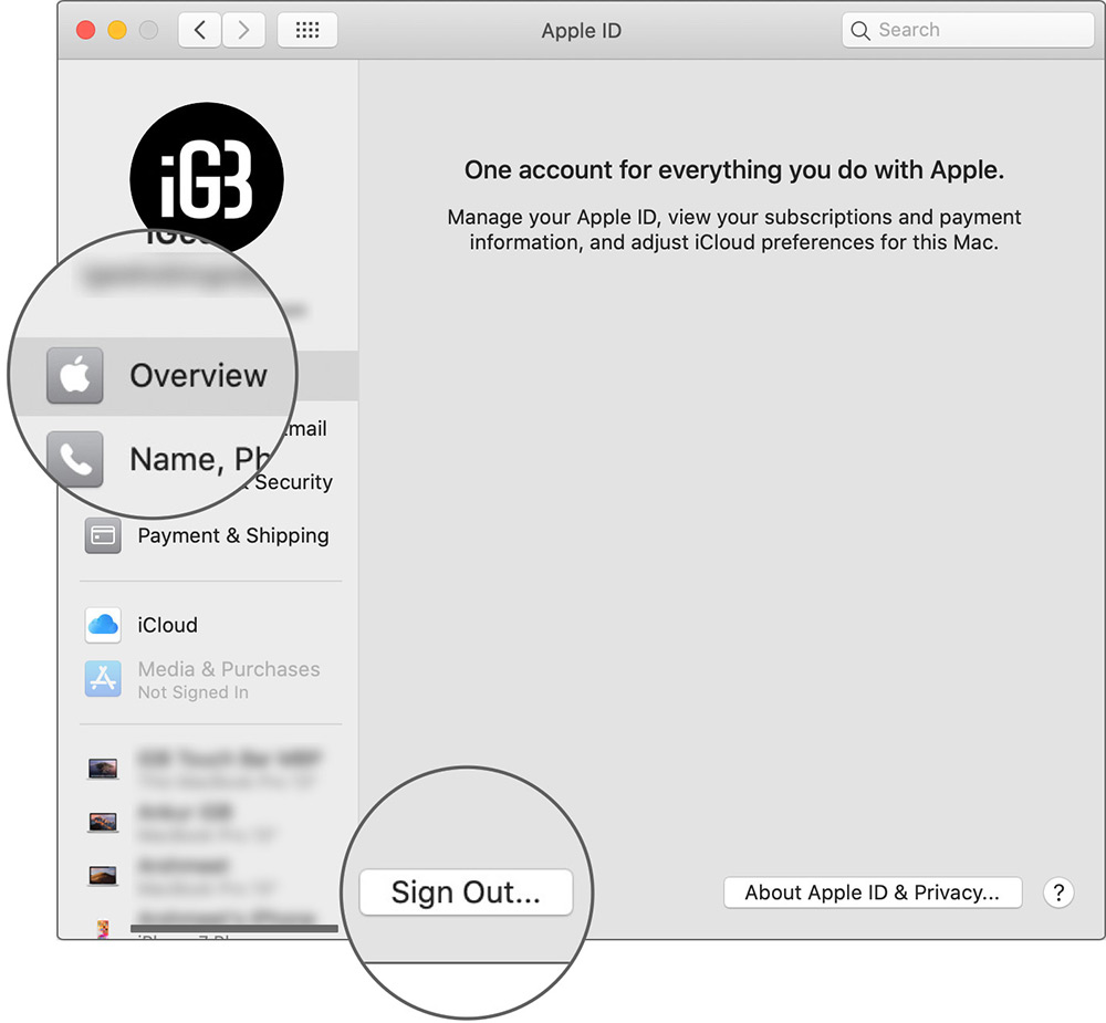 Sign Out from Apple ID on Mac