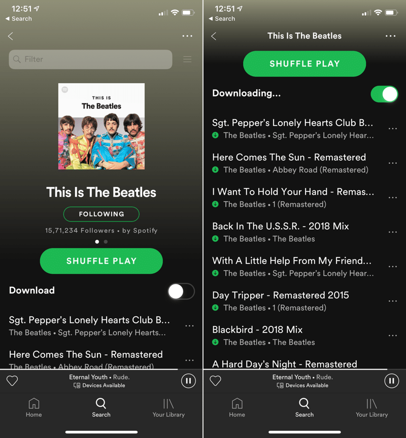 Spotify Download Songs