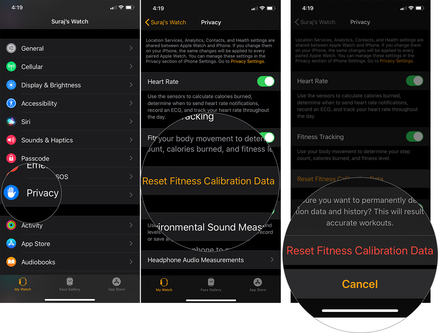 Tap on Privacy and Reset Fitness Calibration Data in Apple Watch app on iPhone