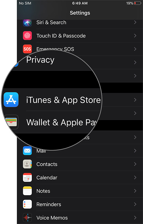 Tap on iTunes and App Store in iPhone Settings