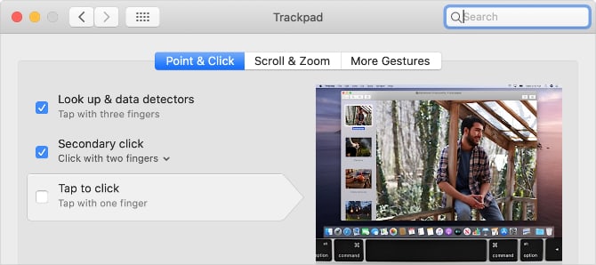 Tap to Click option in Trackpad System Preferences
