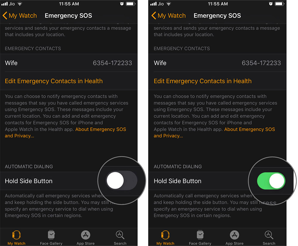 Toggle Hold Side Button to ON in Apple Watch App