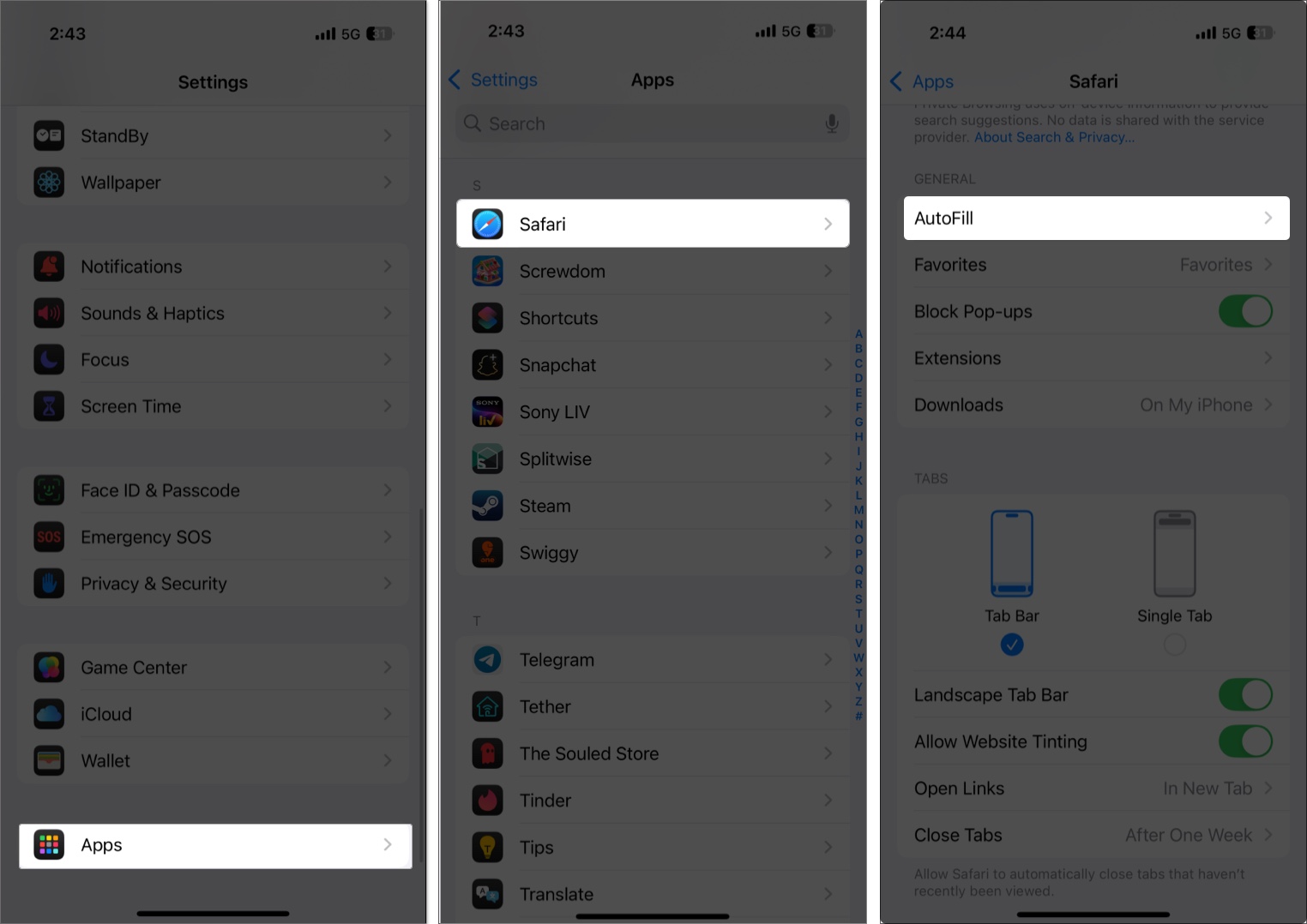 Apple Pay Keeps Asking to Update Shipping Contact Heres How to Fix It Accessing the Safari Autofill option in the iPhone Settings app