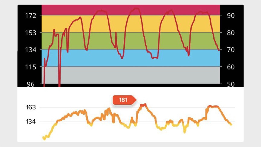 Best heart rate monitor 2019: HRM watches and chest straps compared