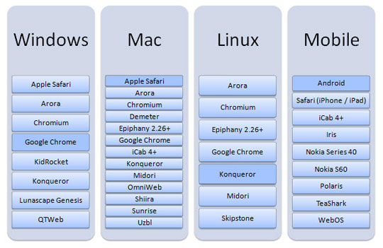 Browsers that use the Webkit rendering engine.