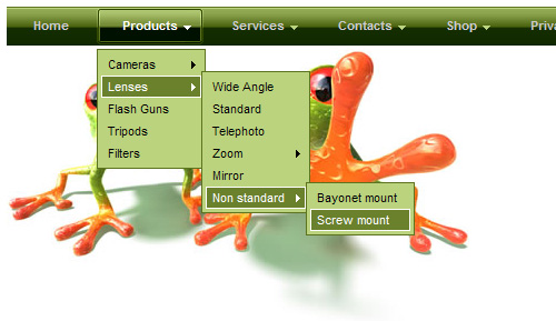 Dropdowns