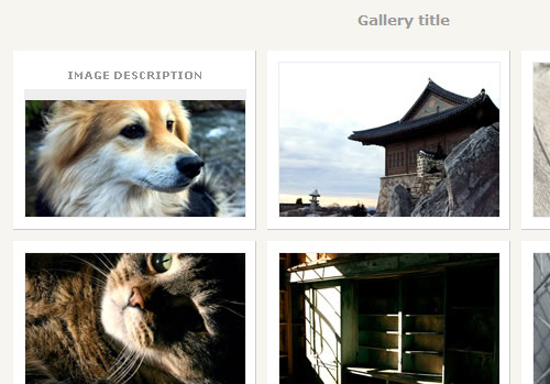 Gallery