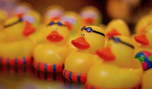 Ducks in Organization Tips For Web Designers