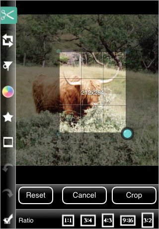 photogene