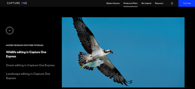 Capture One free raw editor for mac