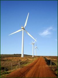 Reduce your Carbon