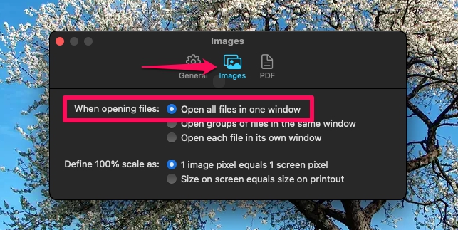 How to Batch Convert WebP Images to JPG on Mac