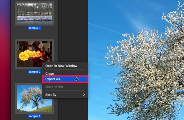 How to Batch Convert WebP Images to JPG on Mac