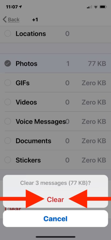 How to delete WhatsApp data on iPhone