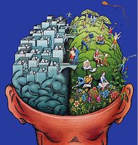 Left Brain Right Brain