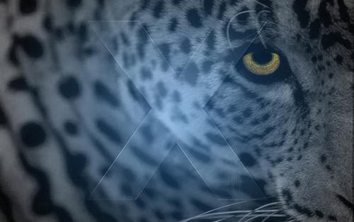 mac wallpaper,leopard wallpaper