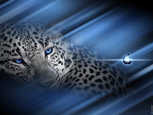 mac wallpaper,leopard wallpaper
