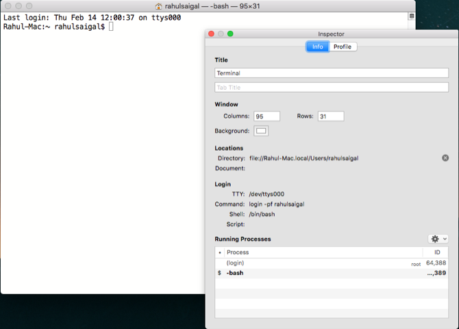 modify the terminal window