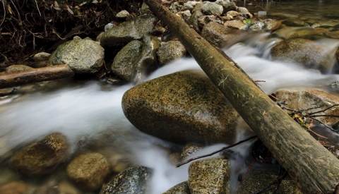 Stream