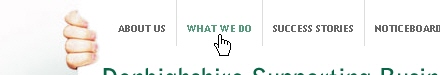 Navigation Menus - Denbighshire Supporting Business | Denbighshire, Supporting, Business