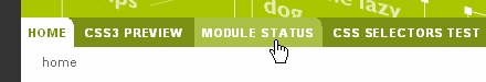 Navigation Menus - CSS3 . info - Everything you need to know about CSS3